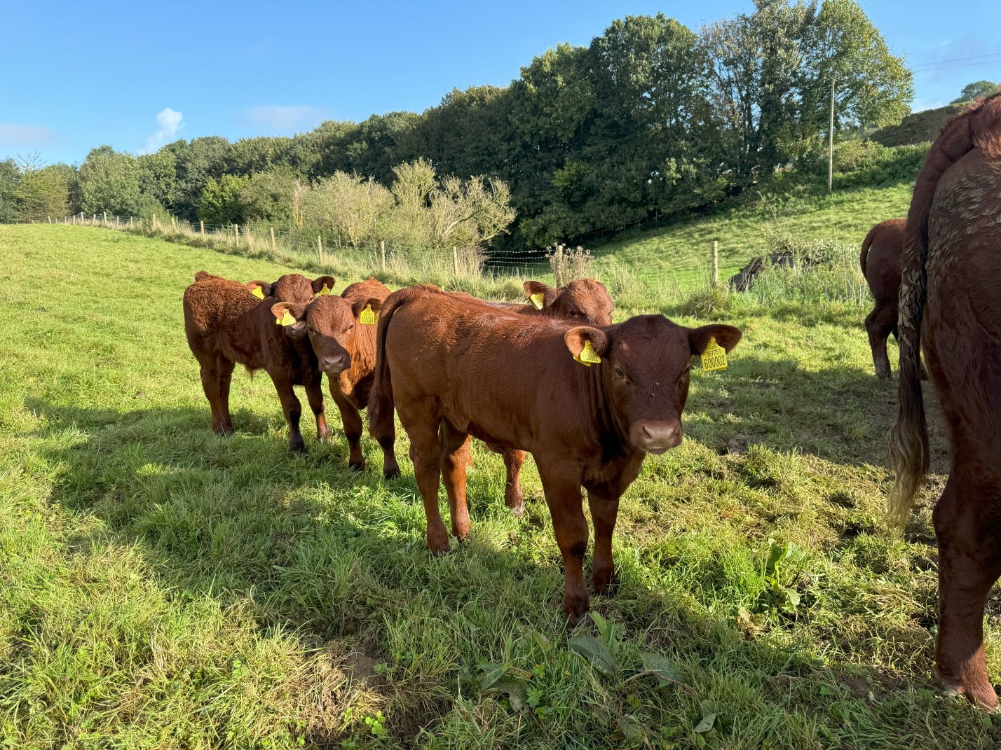 Falling into farming