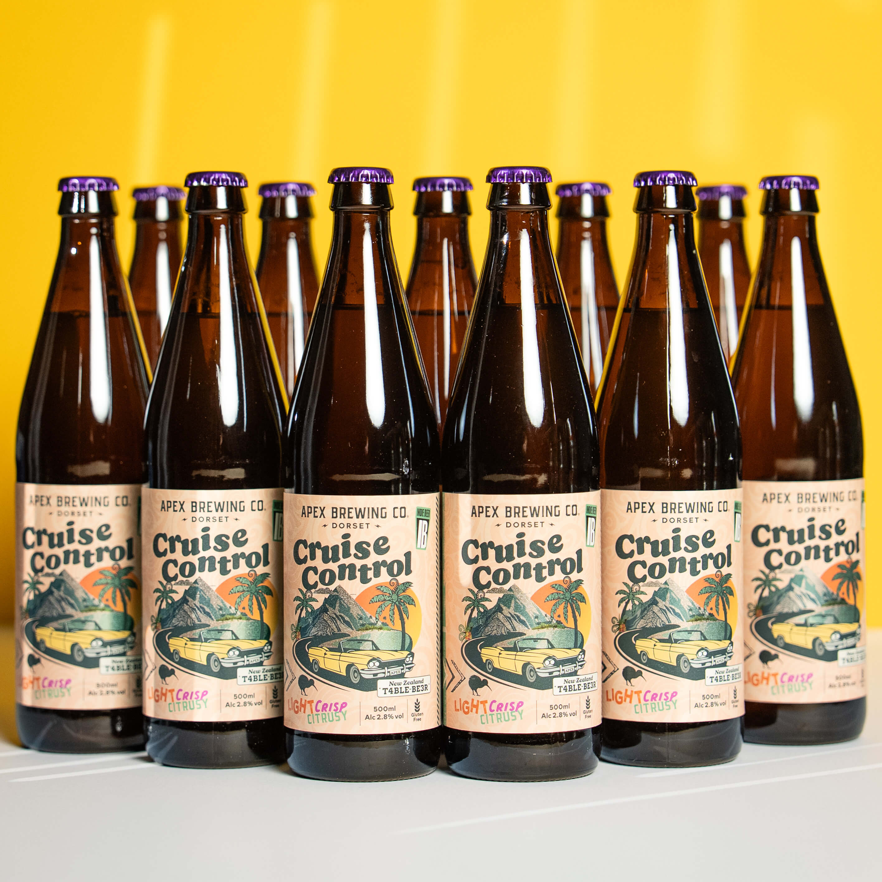 Cruise Control – New Zealand Table Beer – 2.8%