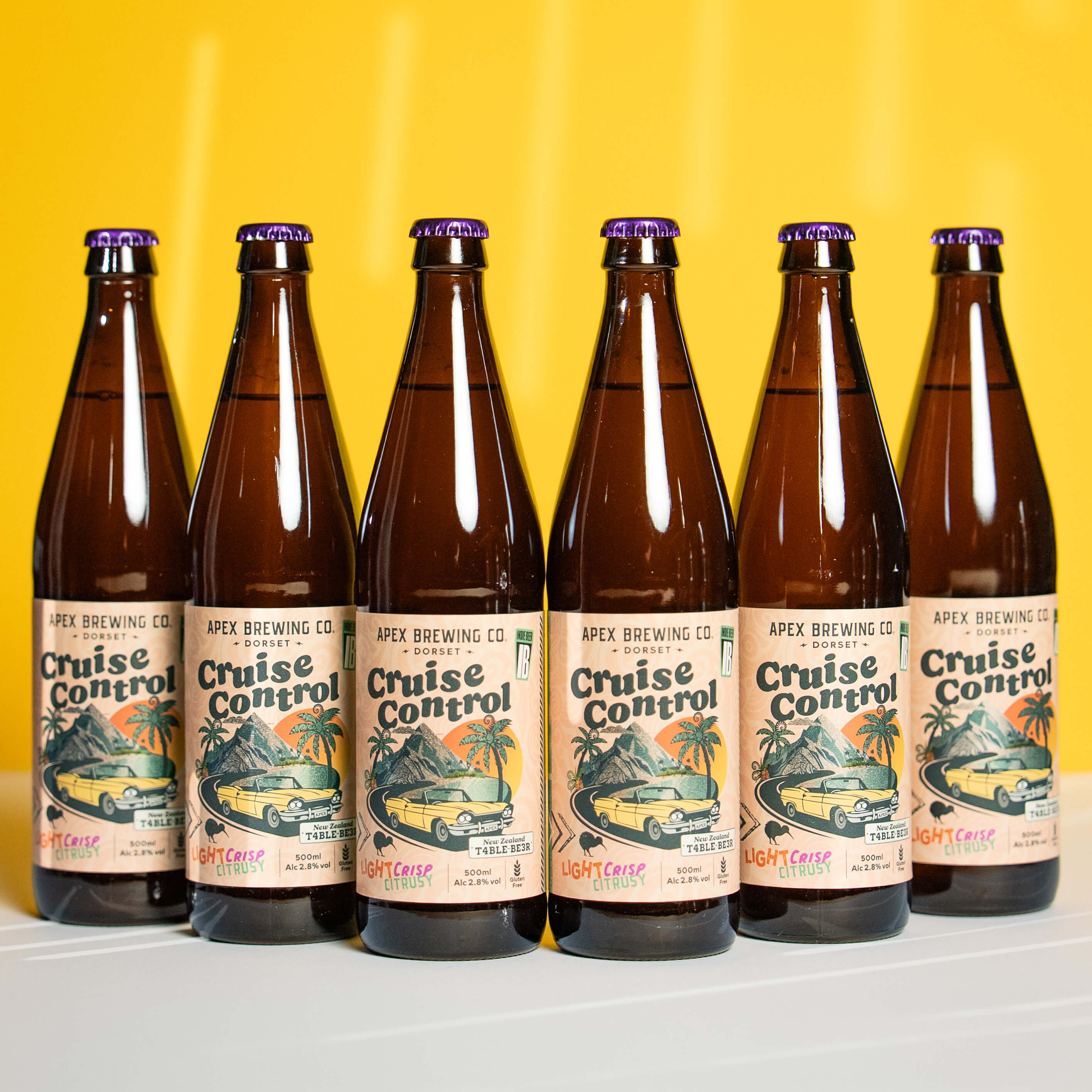 Cruise Control – New Zealand Table Beer – 2.8%